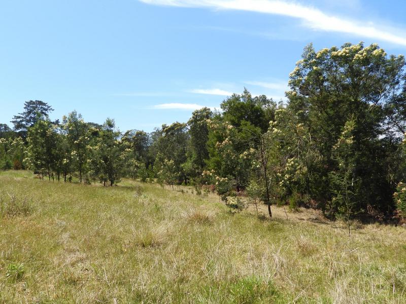 0 Bedroom Property for Sale in Hoekwil Western Cape